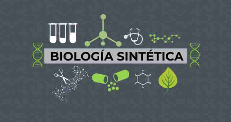 Lee más sobre el artículo La revolución de la biología sintética y su impacto en la ingeniería genética.