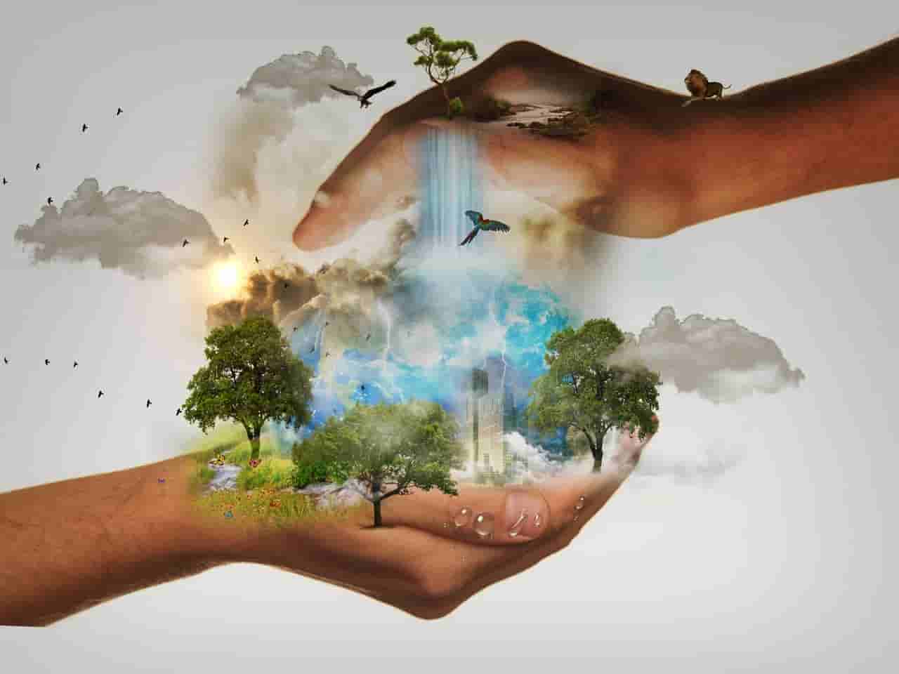 Lee más sobre el artículo La importancia de la conciencia ambiental en la educación de las nuevas generaciones.