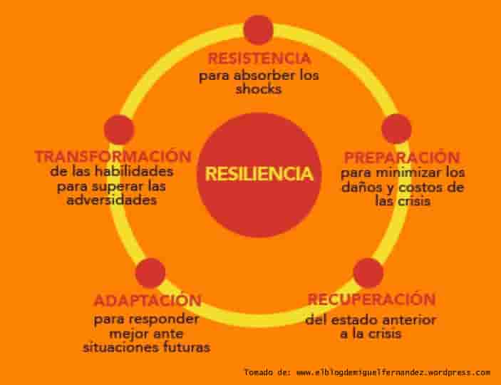 Lee más sobre el artículo La importancia de la resiliencia en el desarrollo personal y profesional.